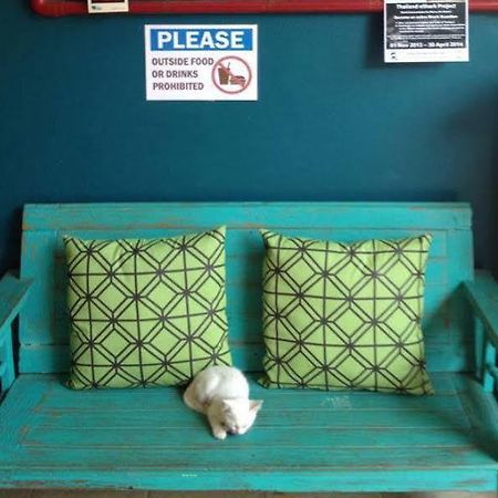 Monkey Dive Hostel Khaolak Khao Lak Luaran gambar